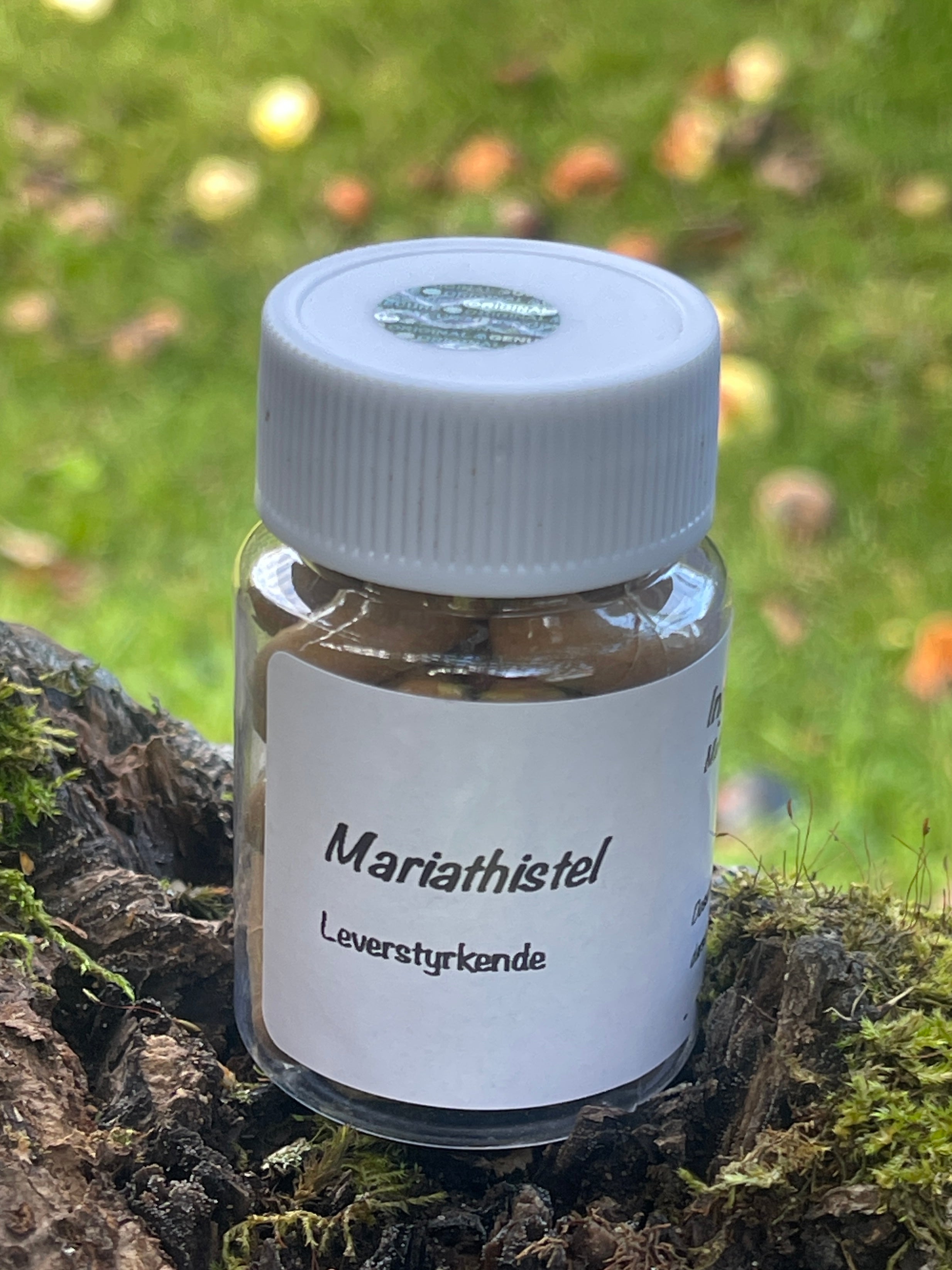 Mariathistel