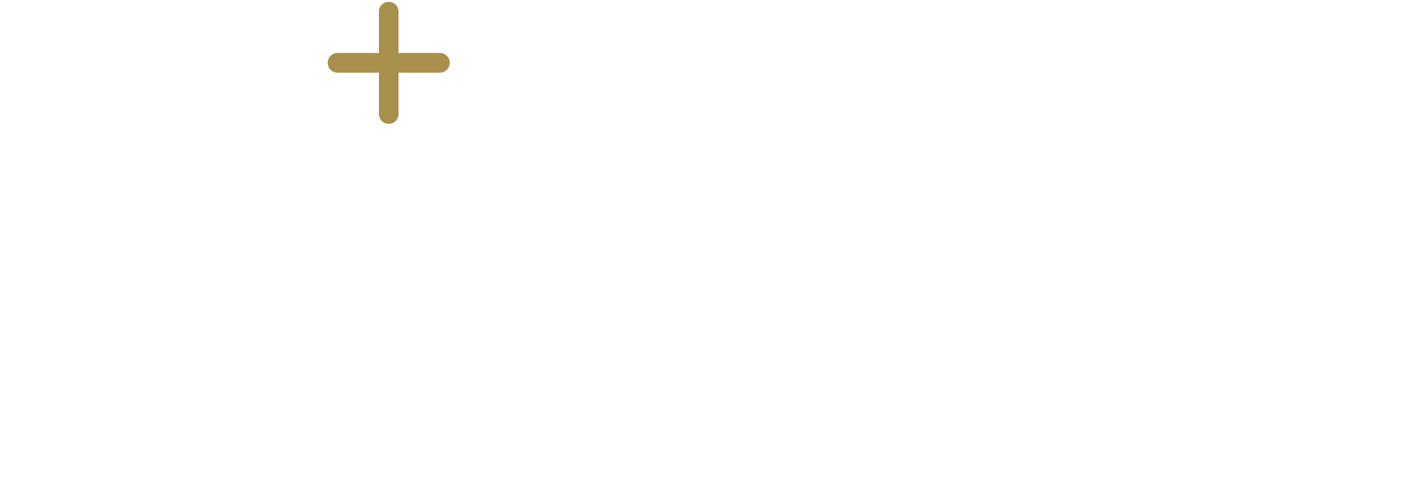 MItomax Logo white