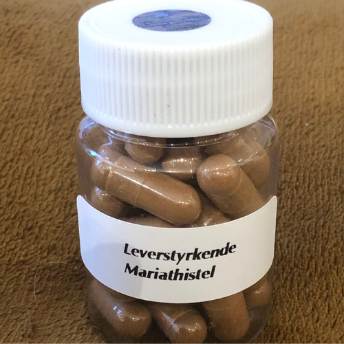 Leverstyrkende Mariathistel (Liver Support – Milk Thistle)